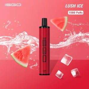 ISGO Bar 10000 Puffs Disposables Vape 5% - Lush Ice