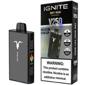 Ignite V25(25000) puffs In Dubai
