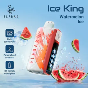 Elf Bar Ice King, Ice King 30000, Elf Bar 30000 puffs, disposable vape In Dubai