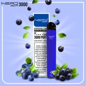 Nerd Bar 3000 Puffs Disposable Pod Vape Best price in Dubai - Blue Beauty