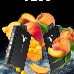 Ignite V250 25 000 Puffs Disposable Vape – 5% Nic, Rechargeable Dubai, UAE.