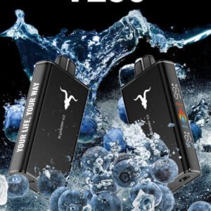 Ignite V250 25 000 Puffs Disposable Vape – 5% Nic, Rechargeable Dubai, UAE. - Blueberry Ice