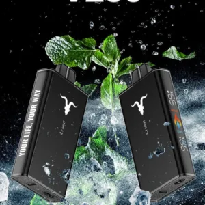 Ignite V250 25 000 Puffs Disposable Vape – 5% Nic, Rechargeable Dubai, UAE. - Icy Mint