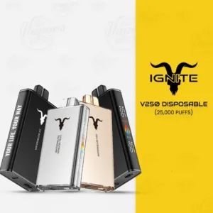 Ignite V250 25 000 Puffs Disposable Vape – 5% Nic, Rechargeable Dubai, UAE. - Aloe Grape Ice