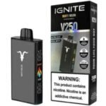 Ignite V25(25000) puffs In Dubai