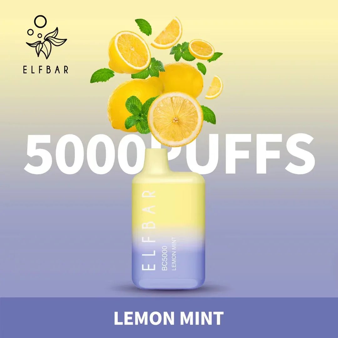 ELF BAR BC5000 – 5000 PUFFS Disposable Vape - Image 17